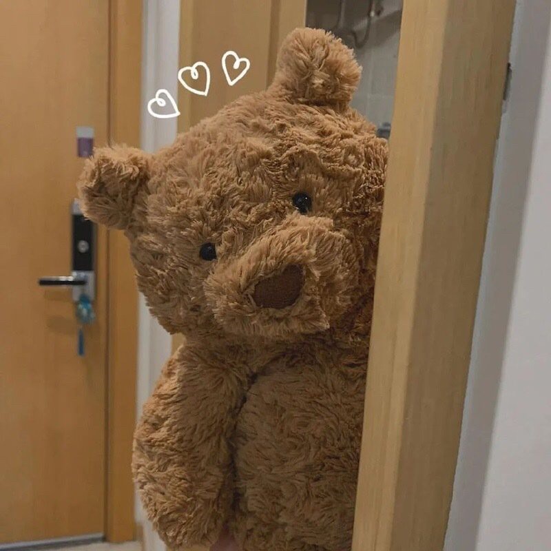 可爱的泰迪熊🧸生活片