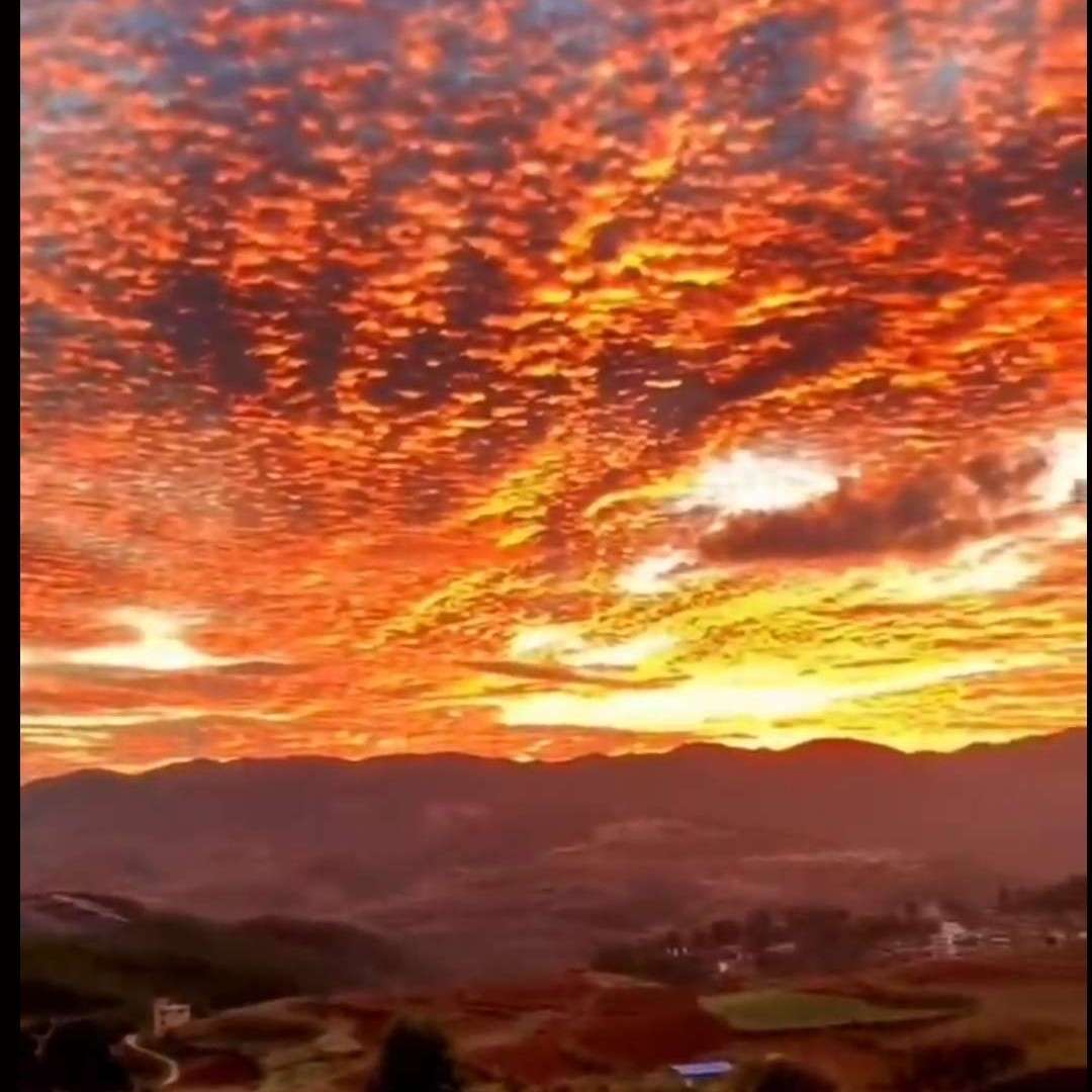 热爱可抵漫长岁月