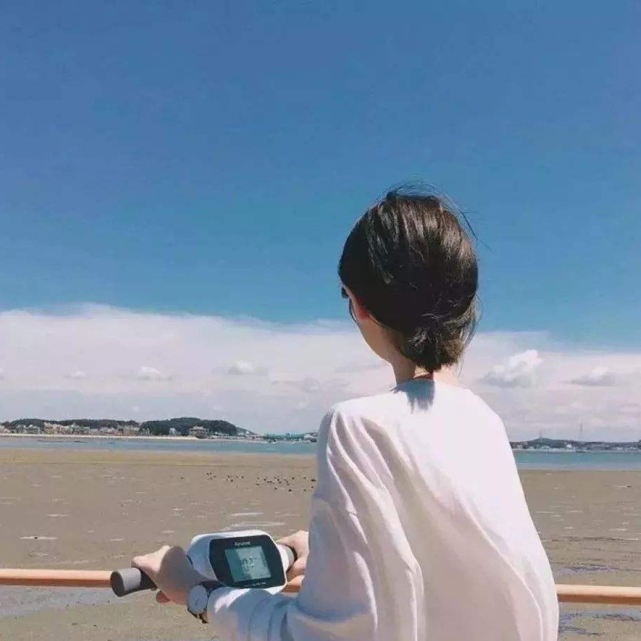 风をした的专辑