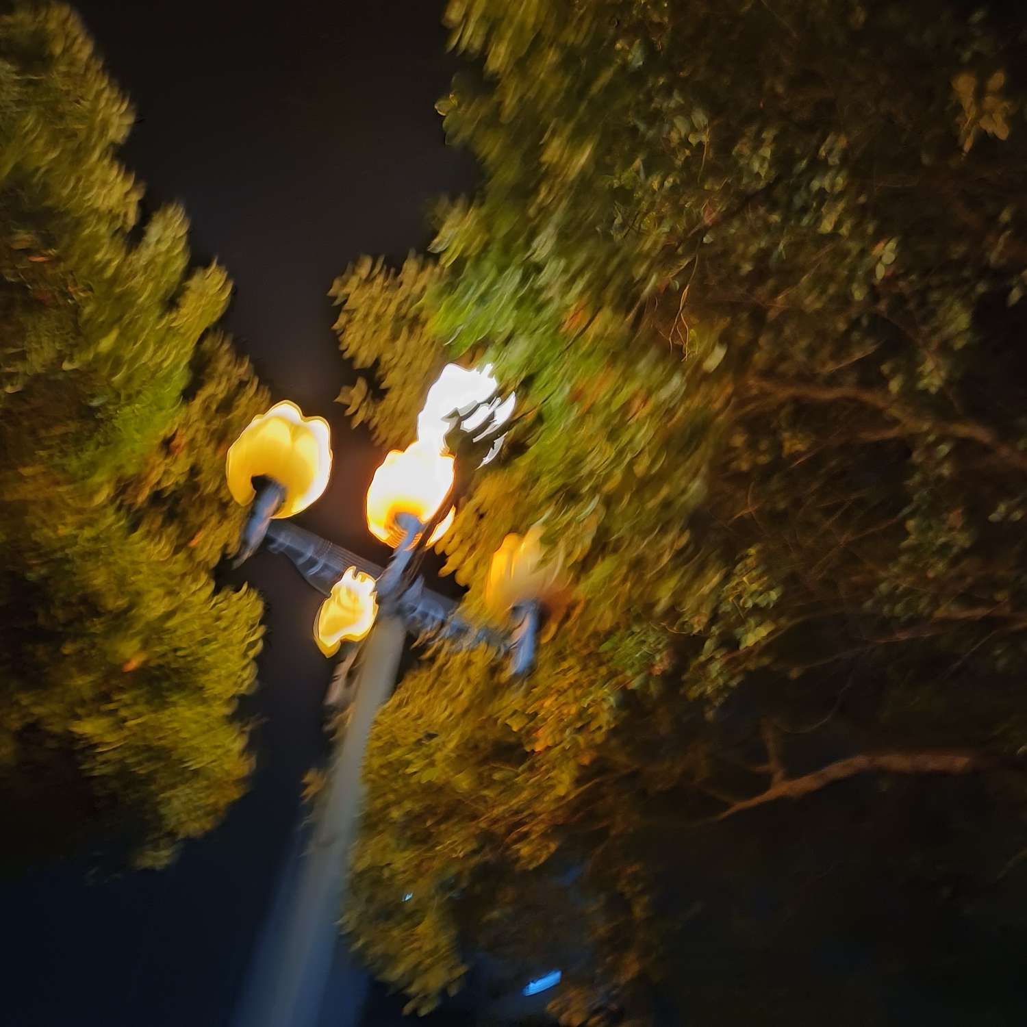五月的宇宙