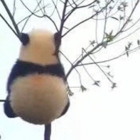文艺