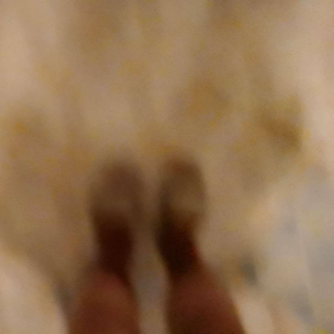 不虚此行