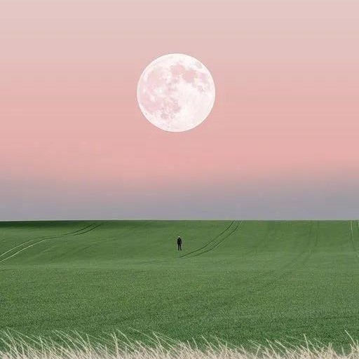 害呀