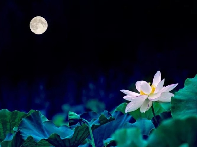 花好月圆