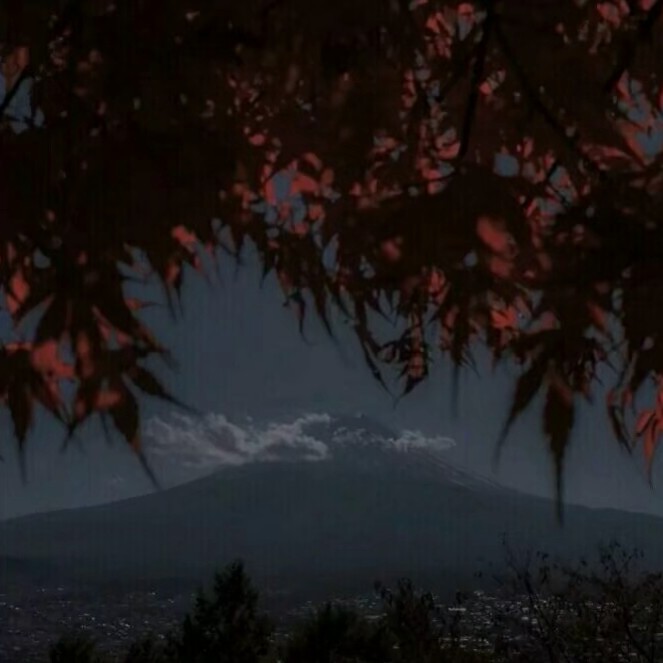 景