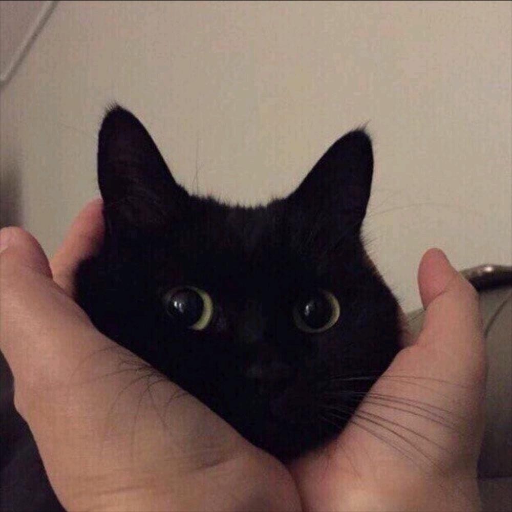 熬夜