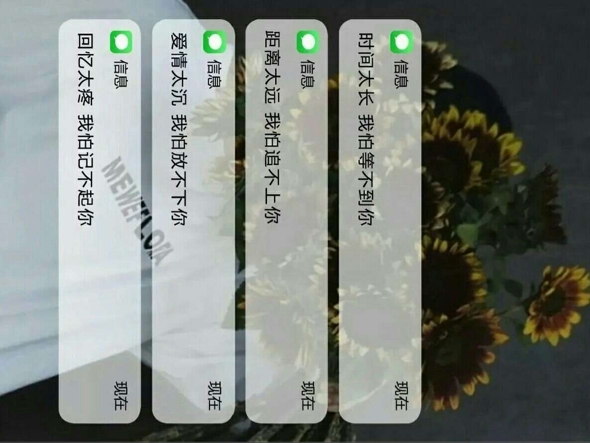 情感语录
