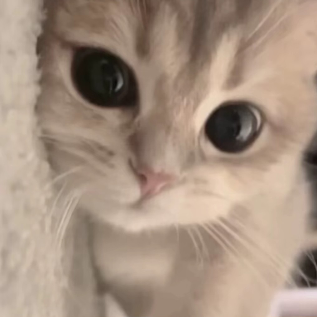 づ♡ど