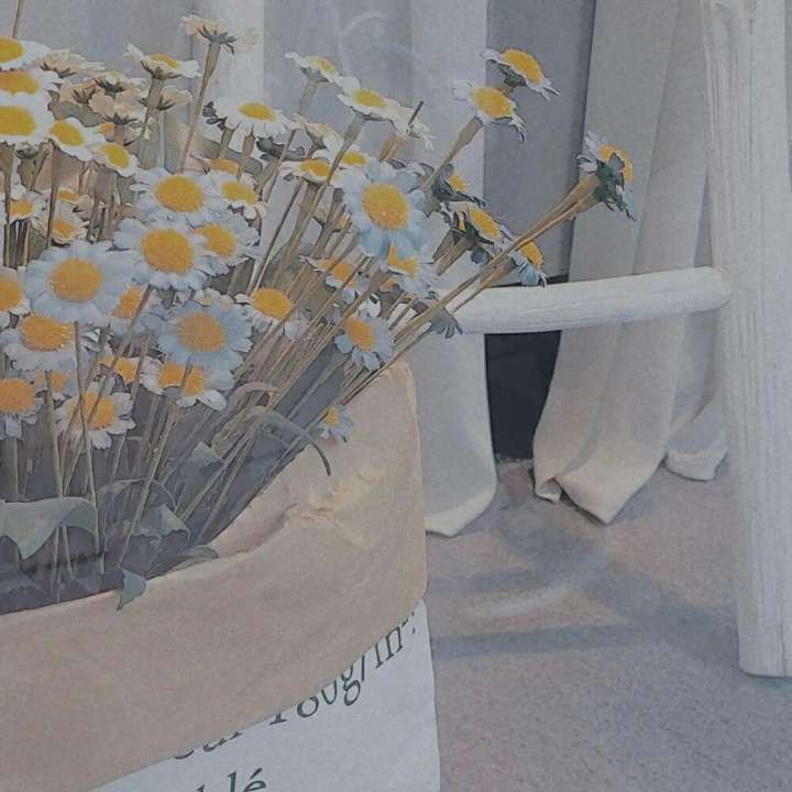 算得上随感吧