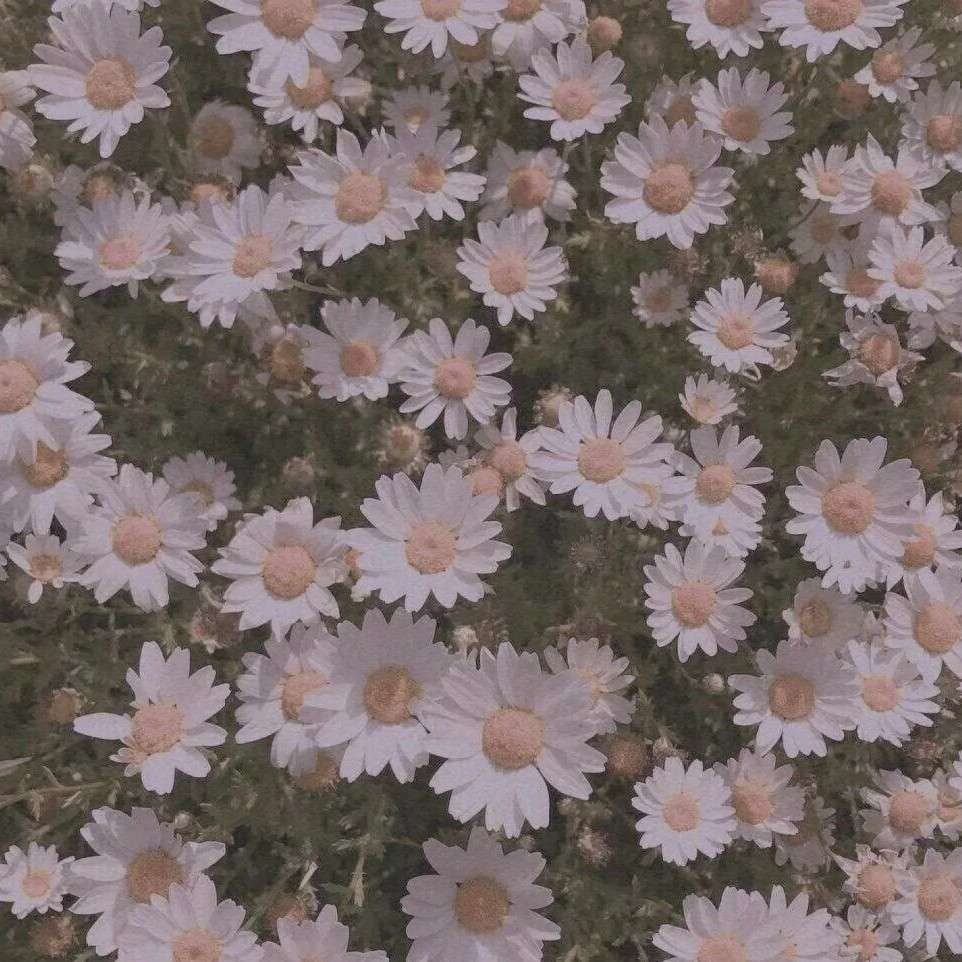 温柔