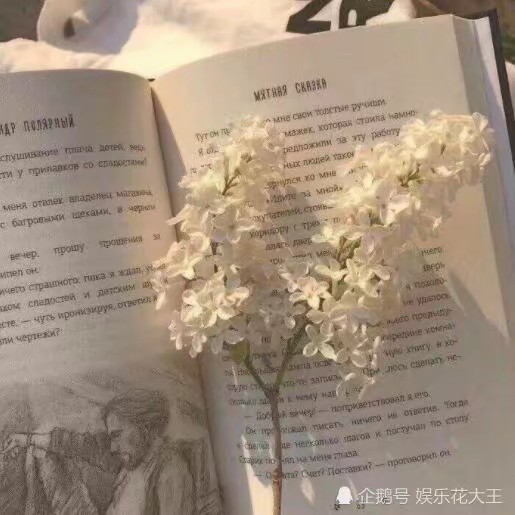 与汐的专辑