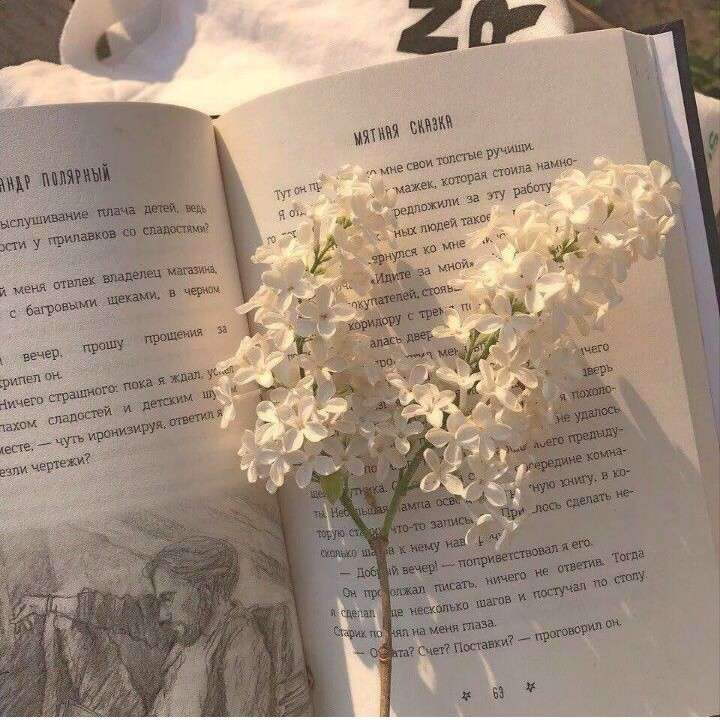 摘抄