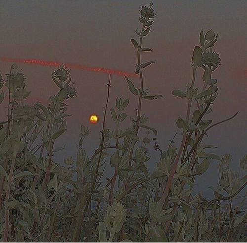 哲理集（精选）