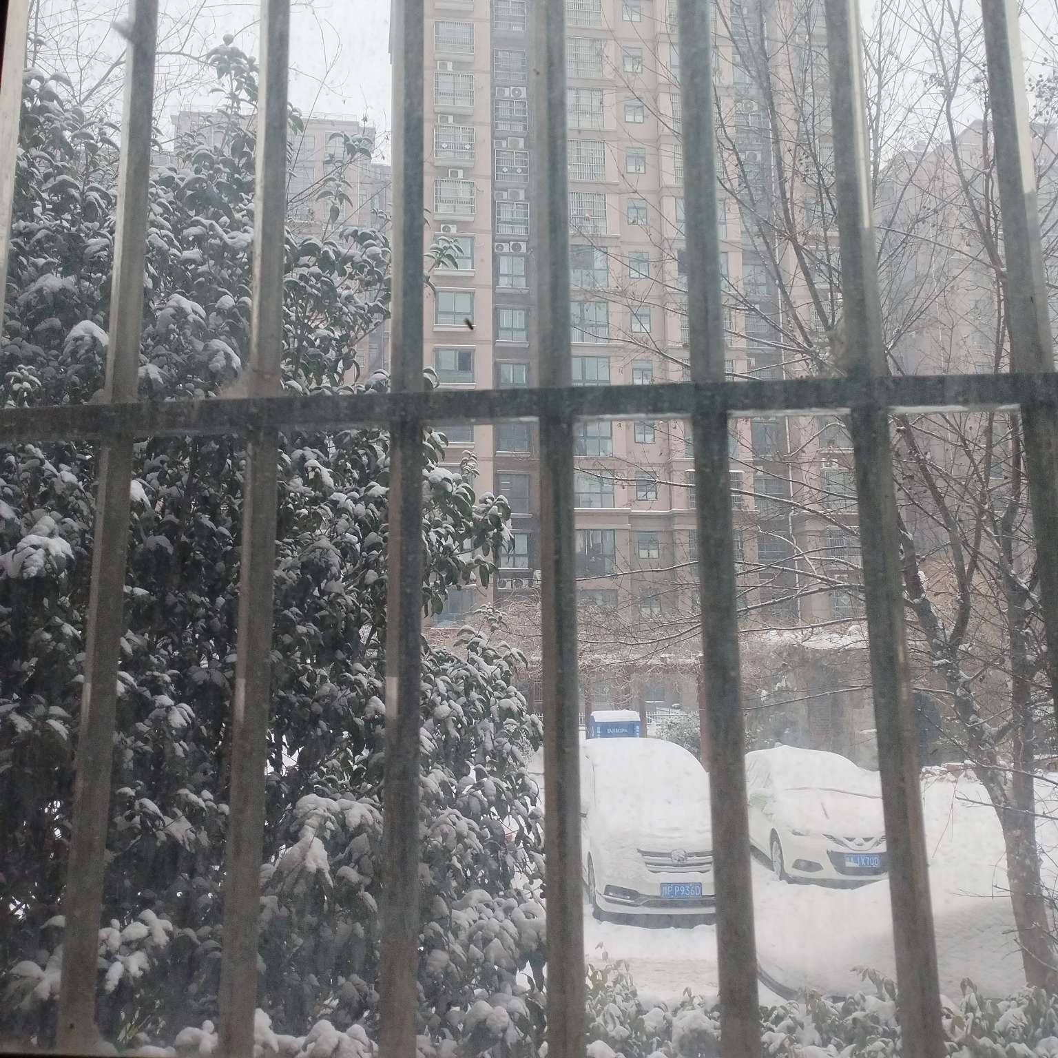 没有伞的孩子必须努力奔跑