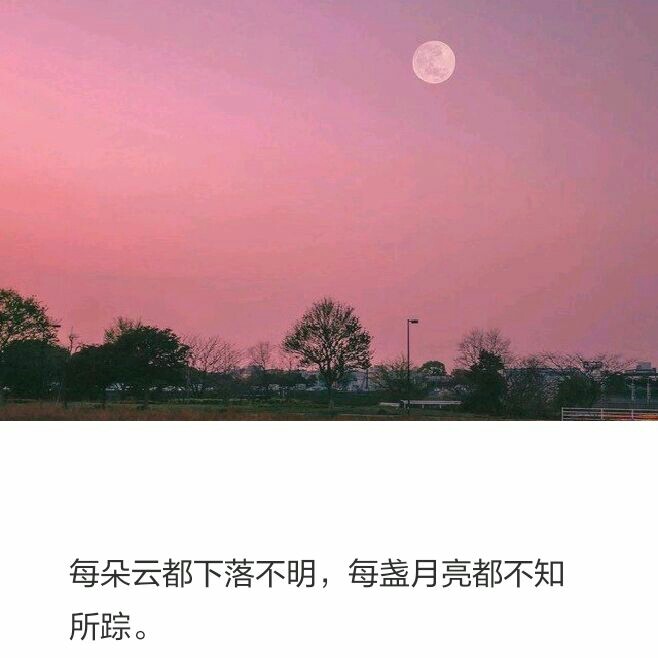 优美素材