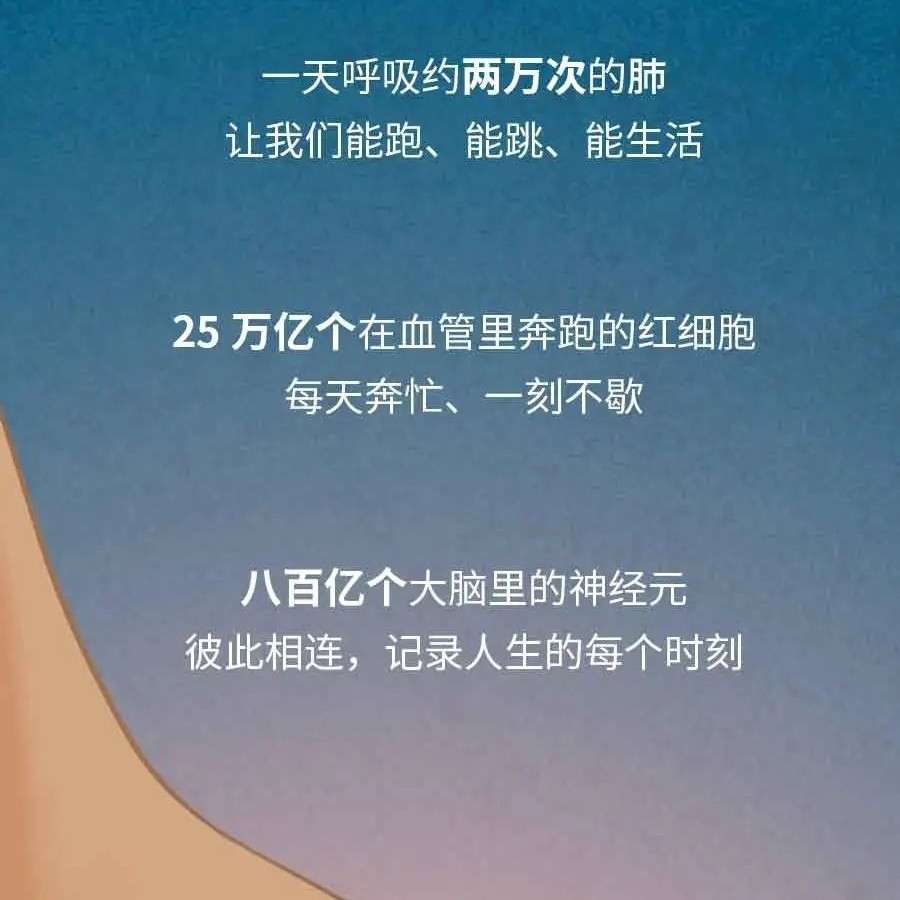 温柔