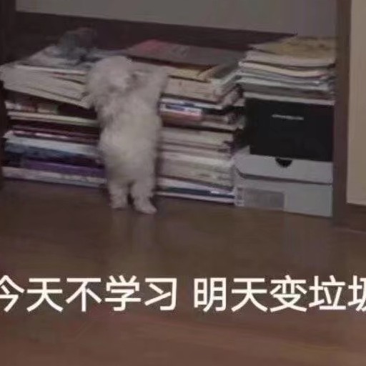 摘抄