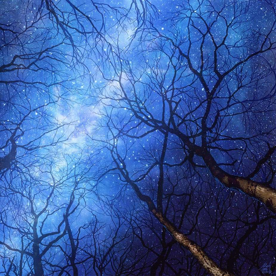 星夜