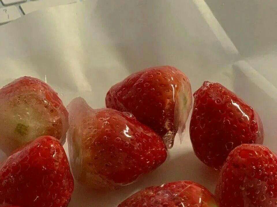 小说里印象深刻的句子🌙