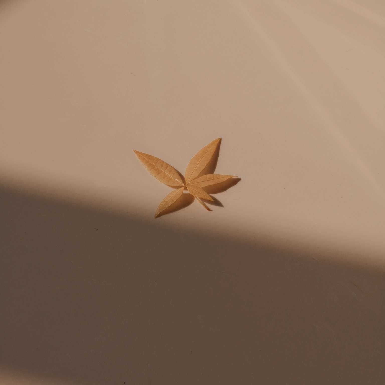 好句子