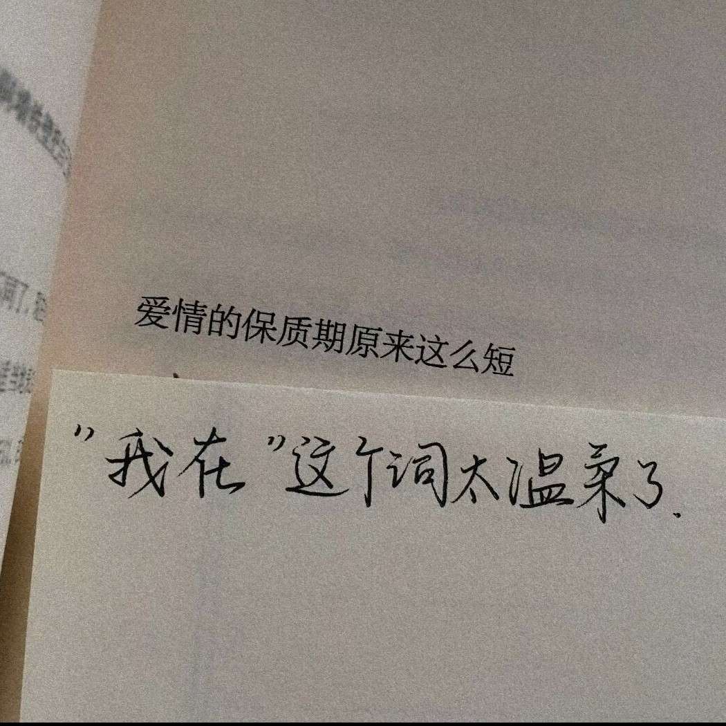 叶雨