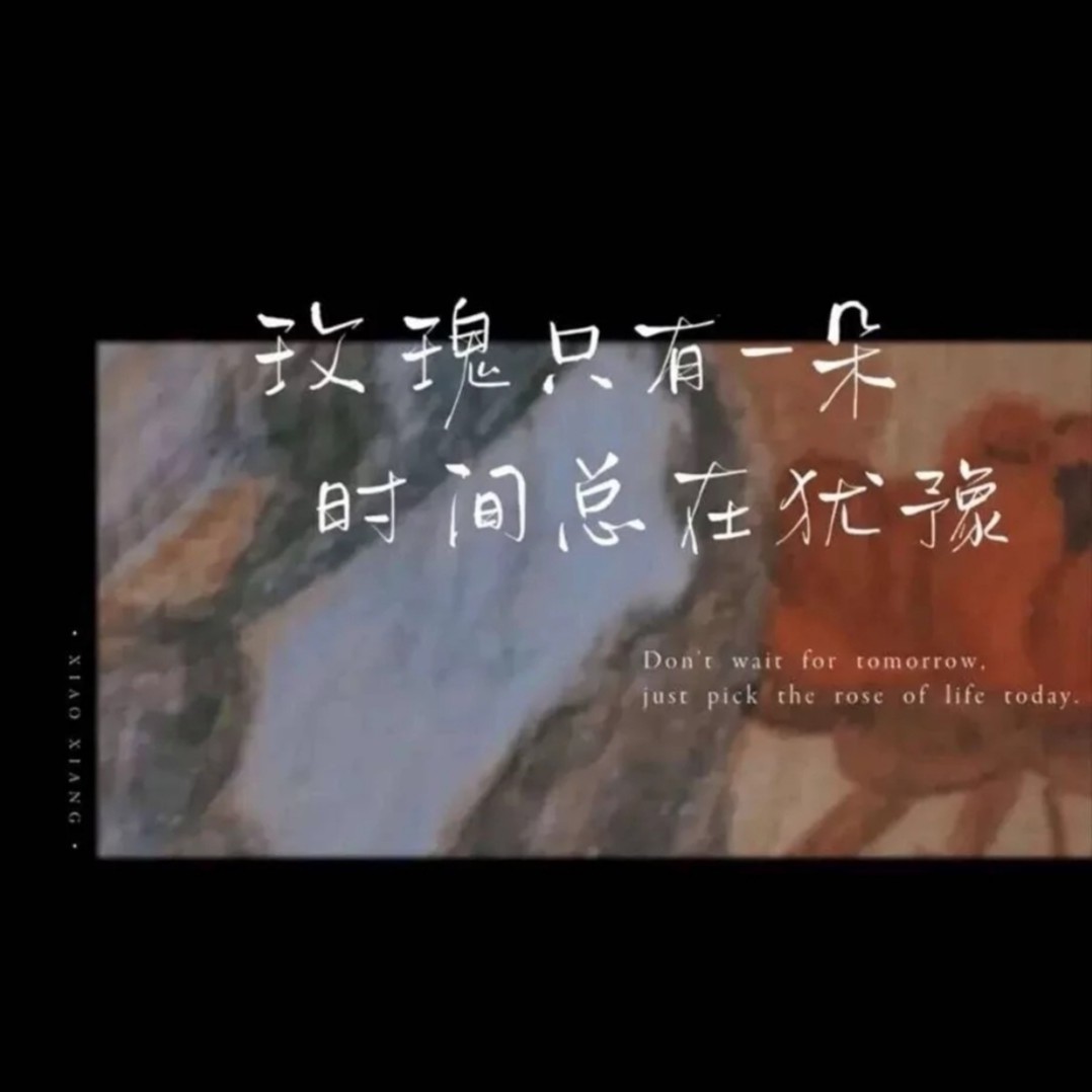 单反面