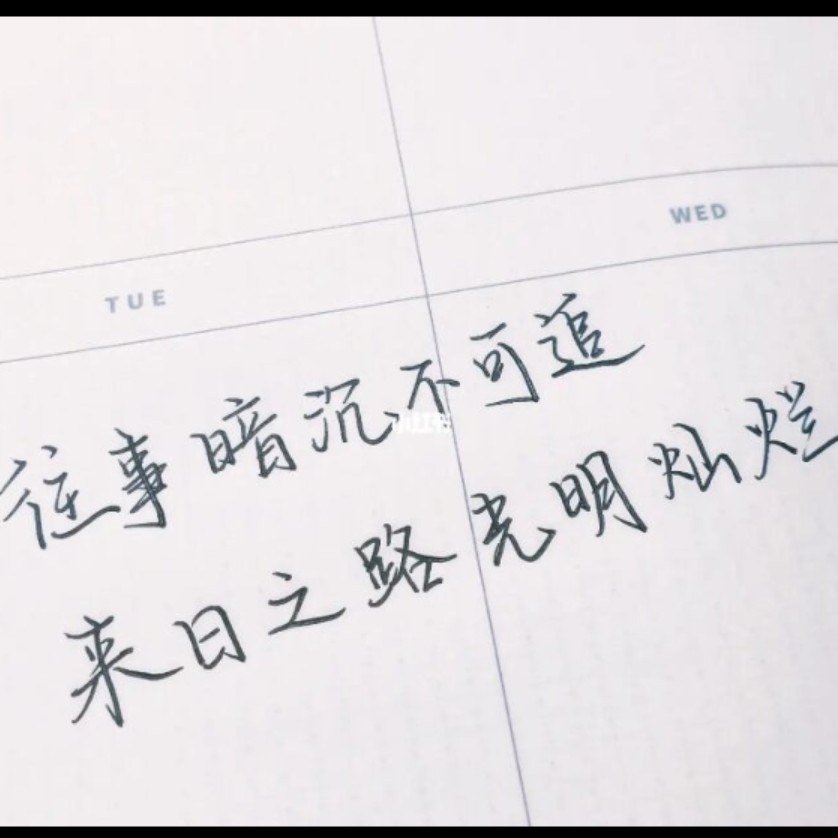 Sunny.的专辑