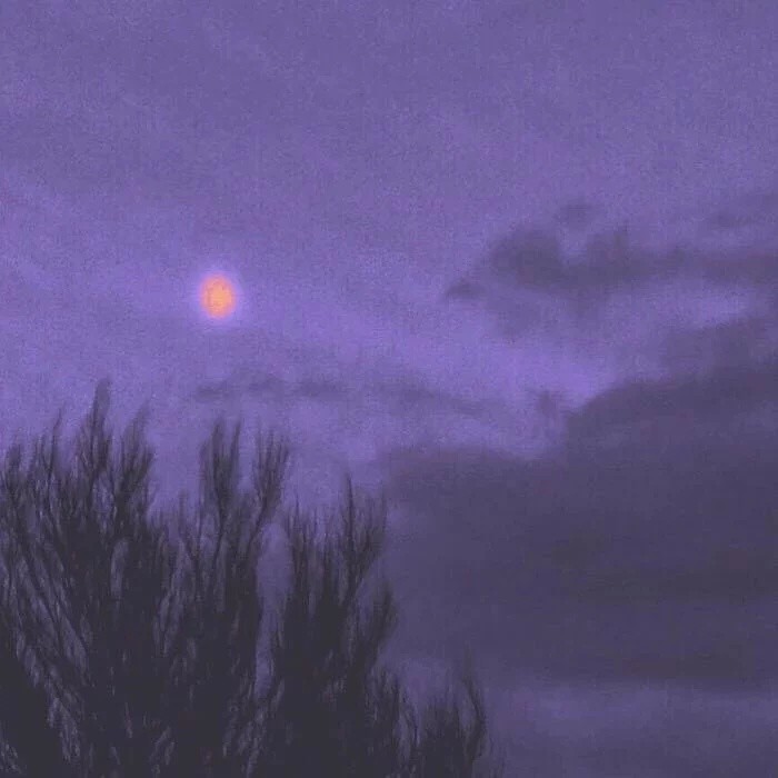 桜が散る的原创