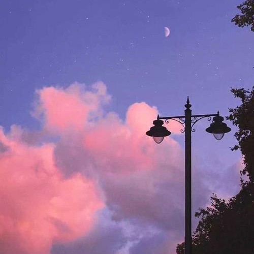 仲夏夜的欢喜