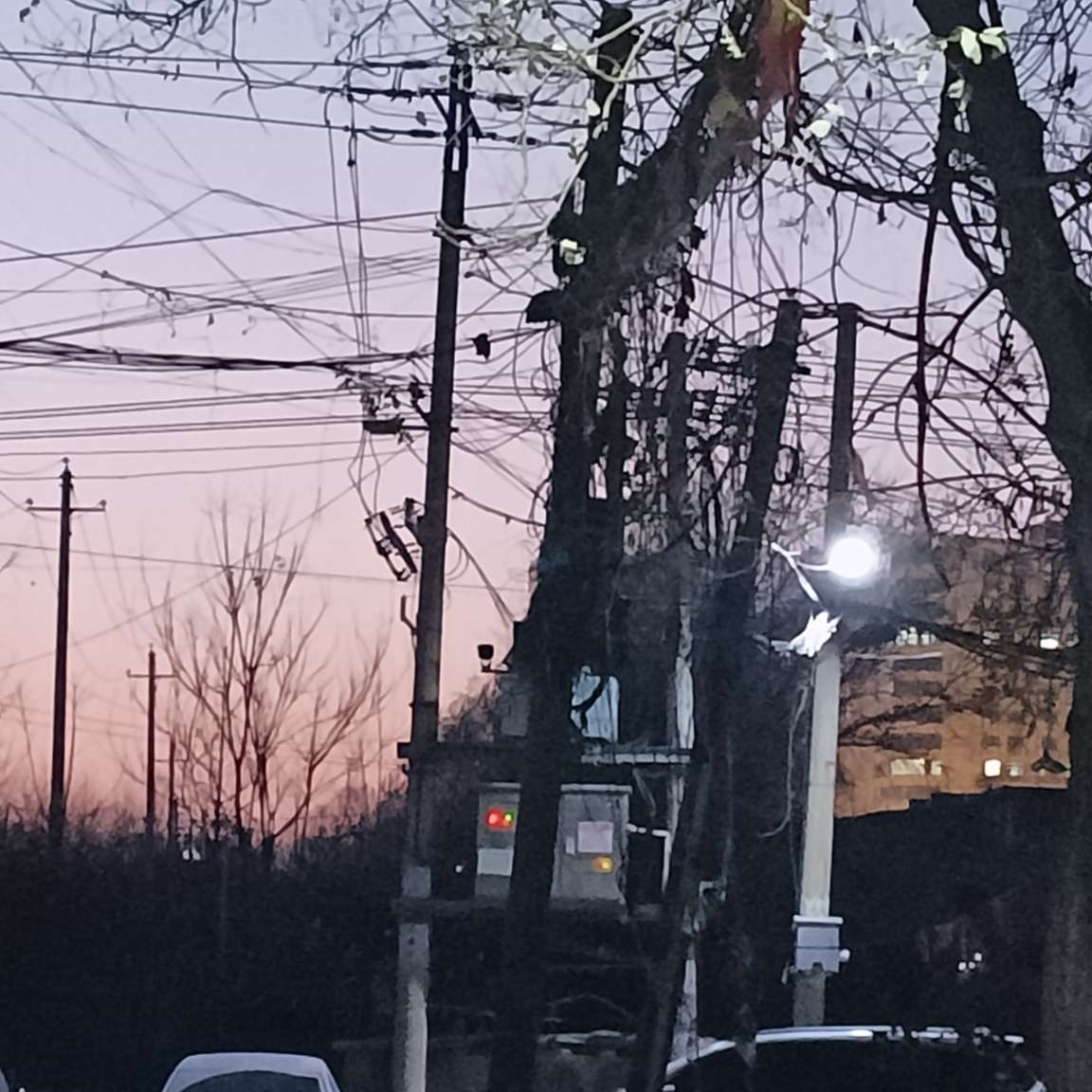 原创