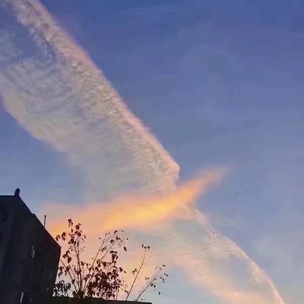 书影