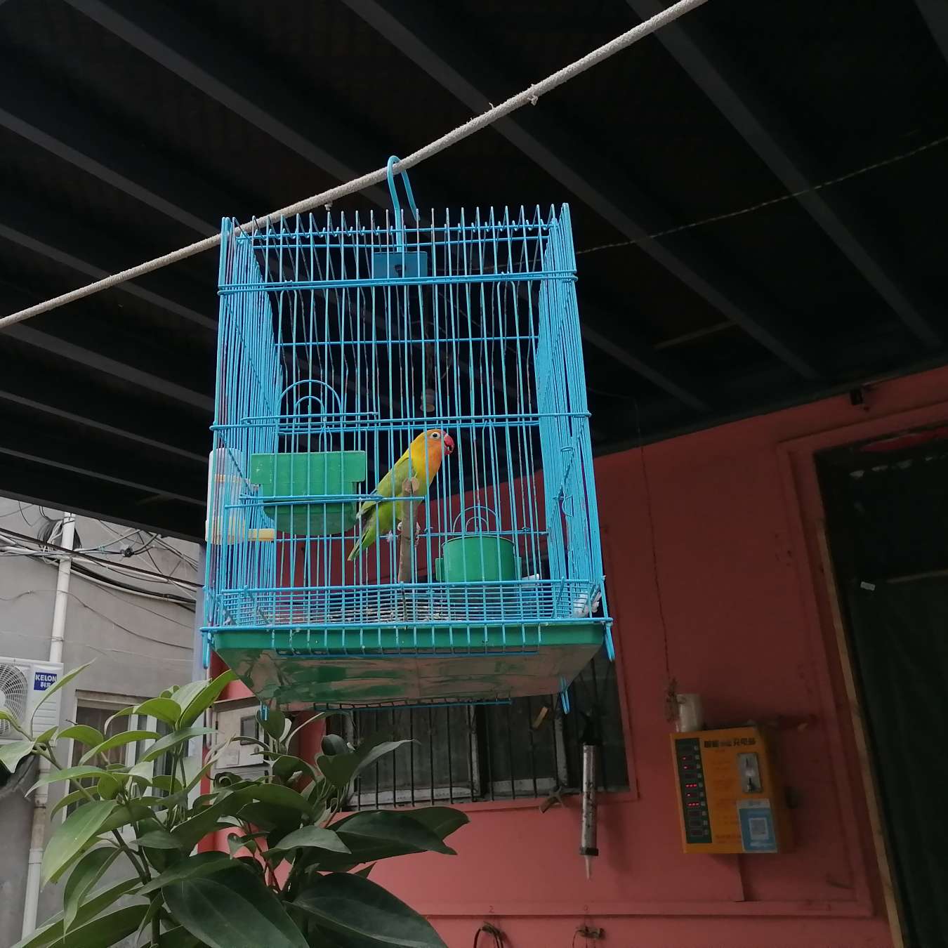 向上走