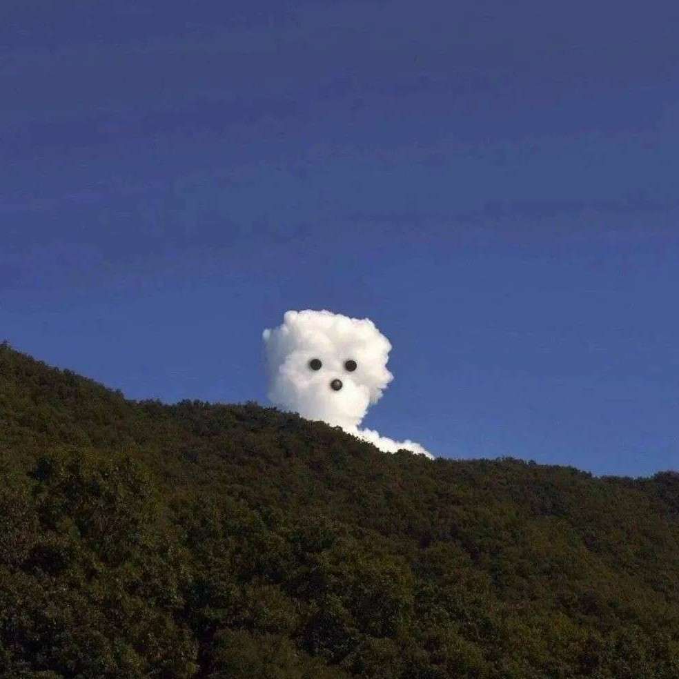白白呀