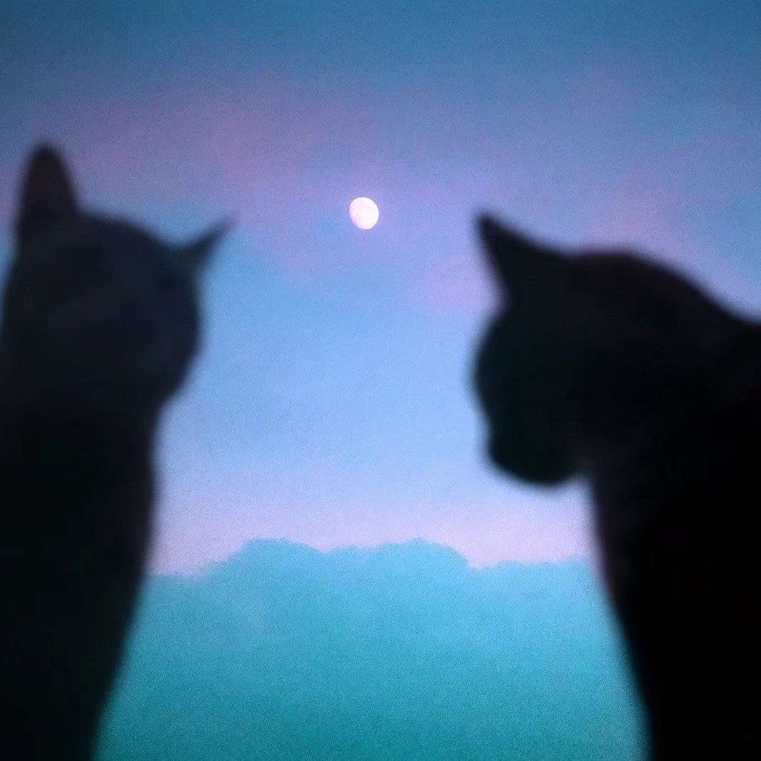 如初