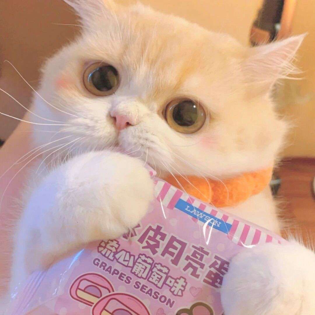 开始