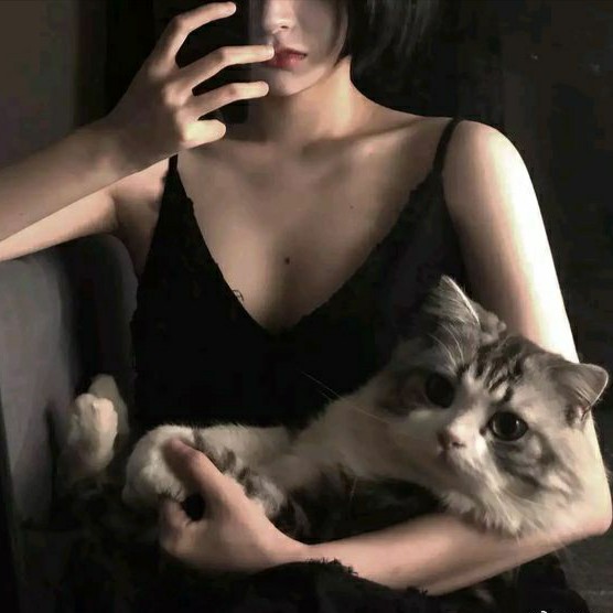 慢里和诗.的专辑