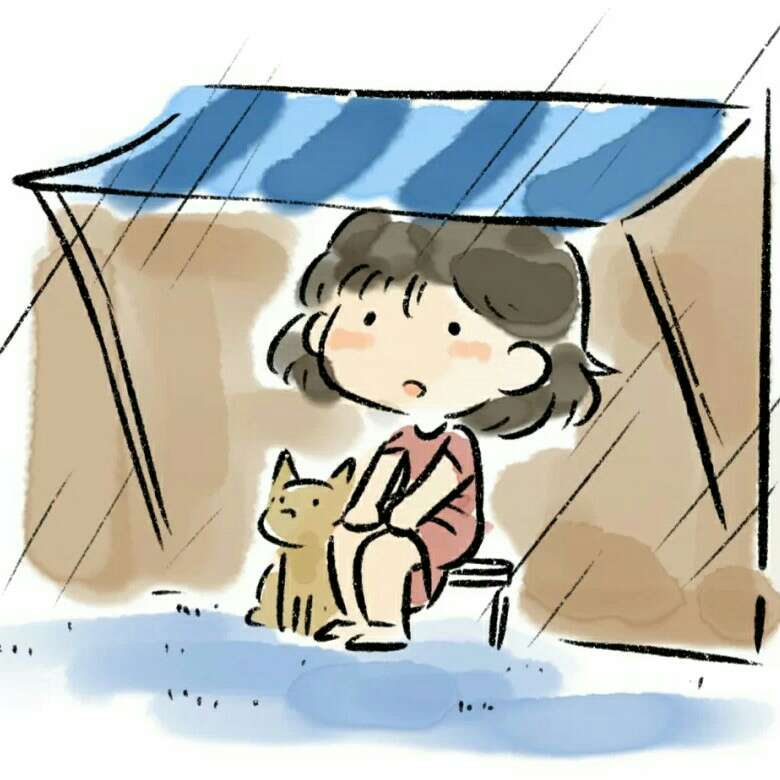收藏