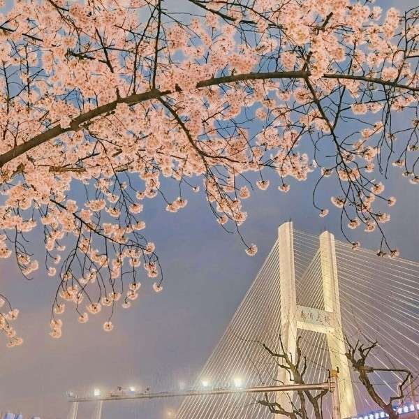 向上.