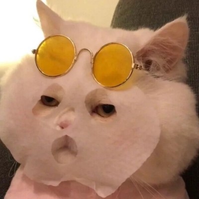 糟