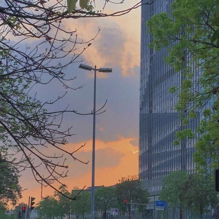 高中作文素材