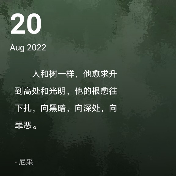 一半白色