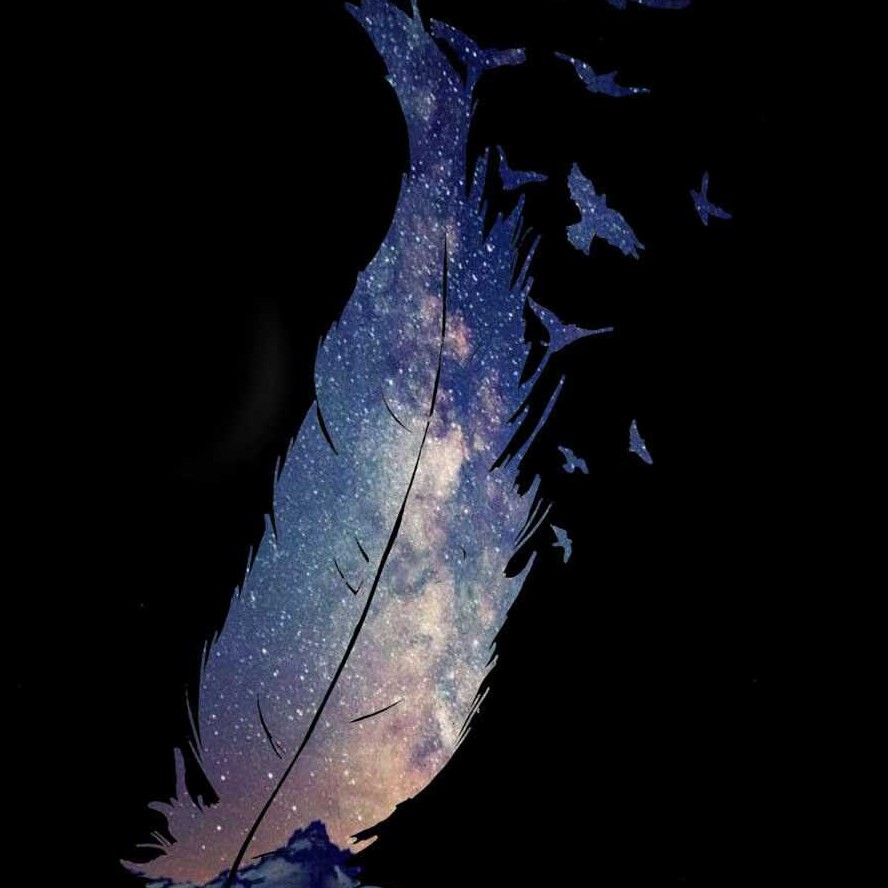 夜的命名术