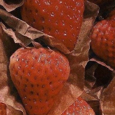 拾柒