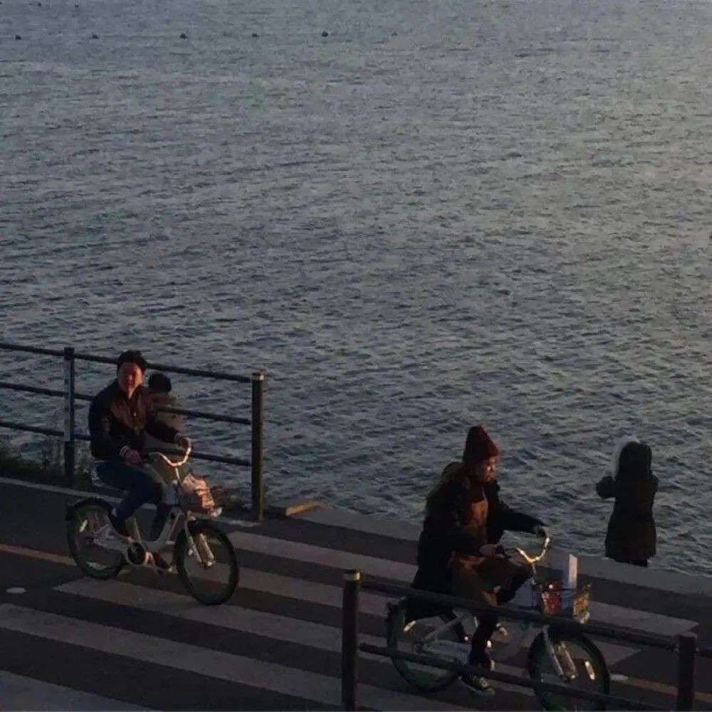 你与星河皆失