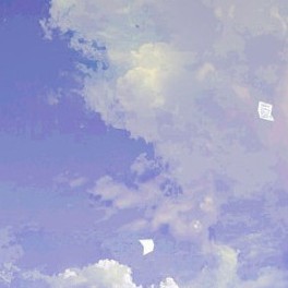 其它