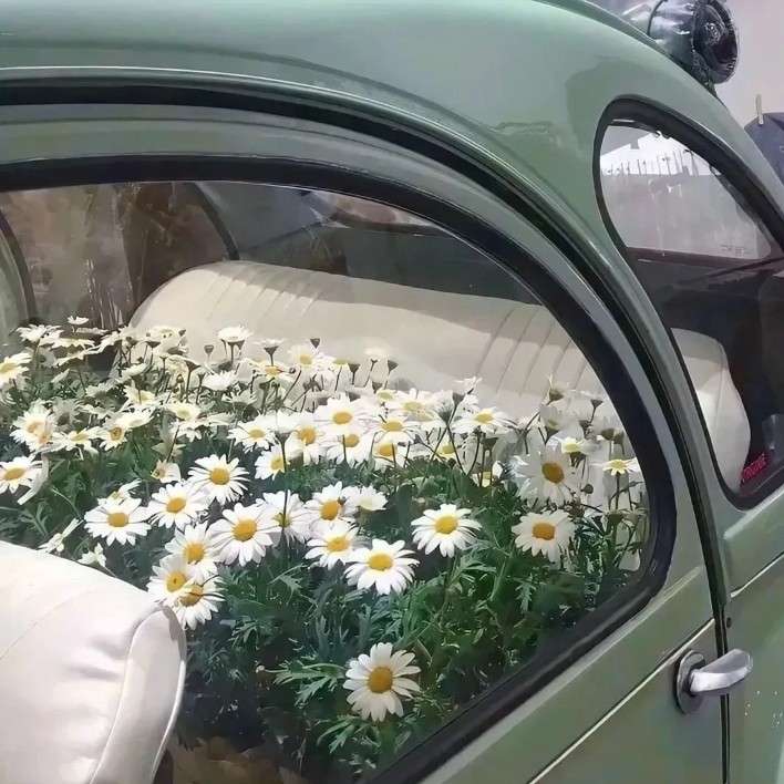 努力