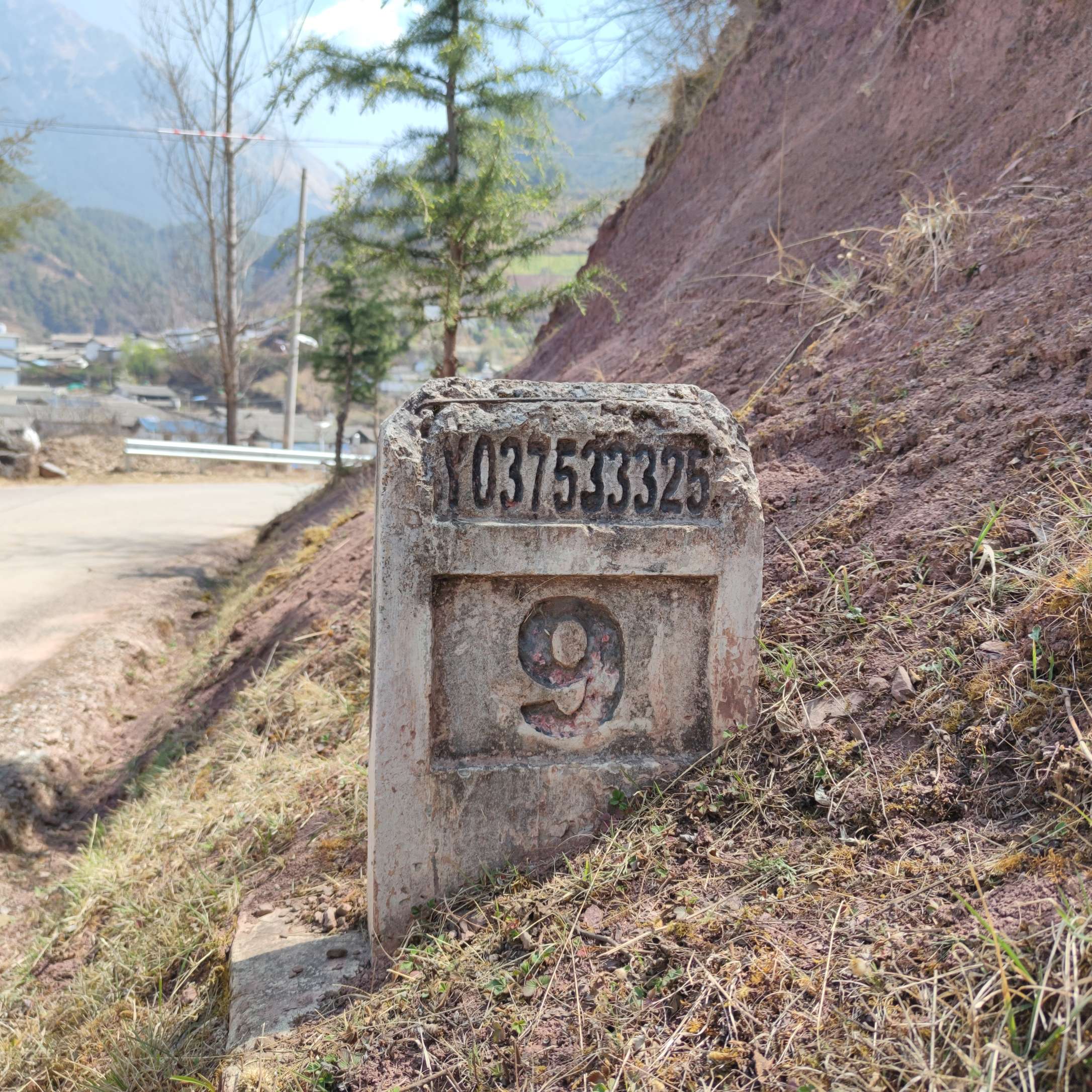 制与治