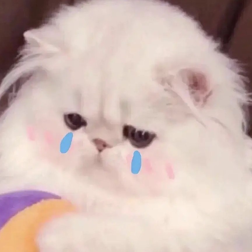 花落肩头🌸的专辑