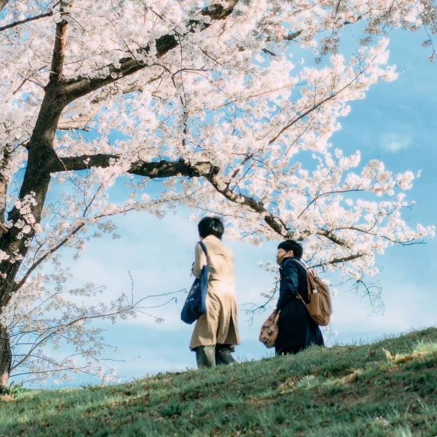 句子