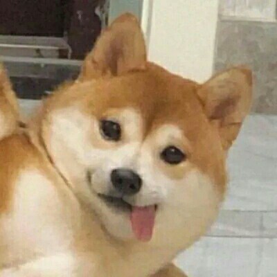 毒鸡汤